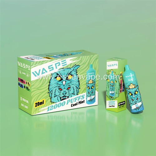 Popular WASPE 12000Puffs Disposable Vape Sweden